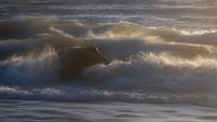 Rock in the surf