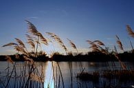 Abends am Teich im Dezember van Ostsee Bilder thumbnail