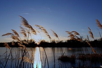 Abends am Teich im Dezember van Ostsee Bilder