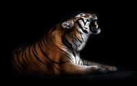 Tiger portrait, Santiago Pascual Buye by 1x thumbnail