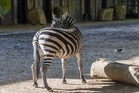 Over je schouder kijken