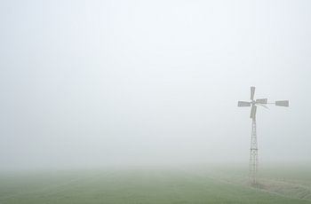 Morgennebel über den Wiesen.