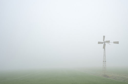 Morgennebel über den Wiesen.