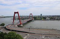 willemsbrug Rotterdam by Shui Fan thumbnail