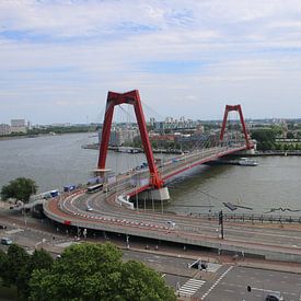 willemsbrug Rotterdam by Shui Fan