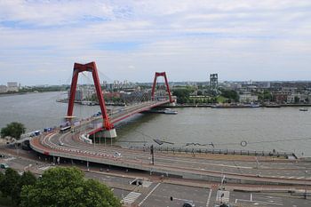 willemsbrug Rotterdam
