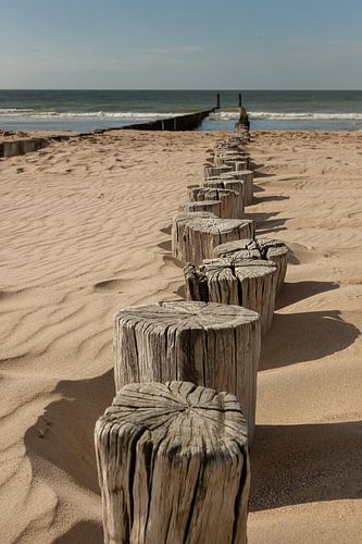 Strandpaaltjes in Zeeland