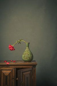Nouveau départ IV