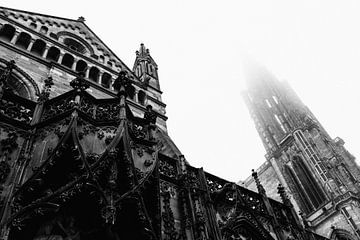 La cathédrale de Strasbourg par une froide journée d'hiver