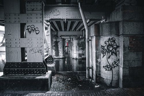 Amsterdam in the Netherlands is not just black and white