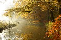 L'automne au domaine d'Elswout par Michel van Kooten Aperçu