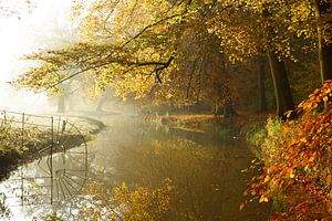Herbst auf Gut Elswout von Michel van Kooten
