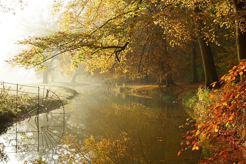 L'automne au domaine d'Elswout par Michel van Kooten