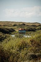Vogelkijkhut op Ameland