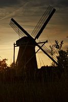 The Three Lilies in Maasland at sunset