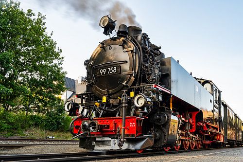 Uitzicht op het smalspoor in Bertsdorf