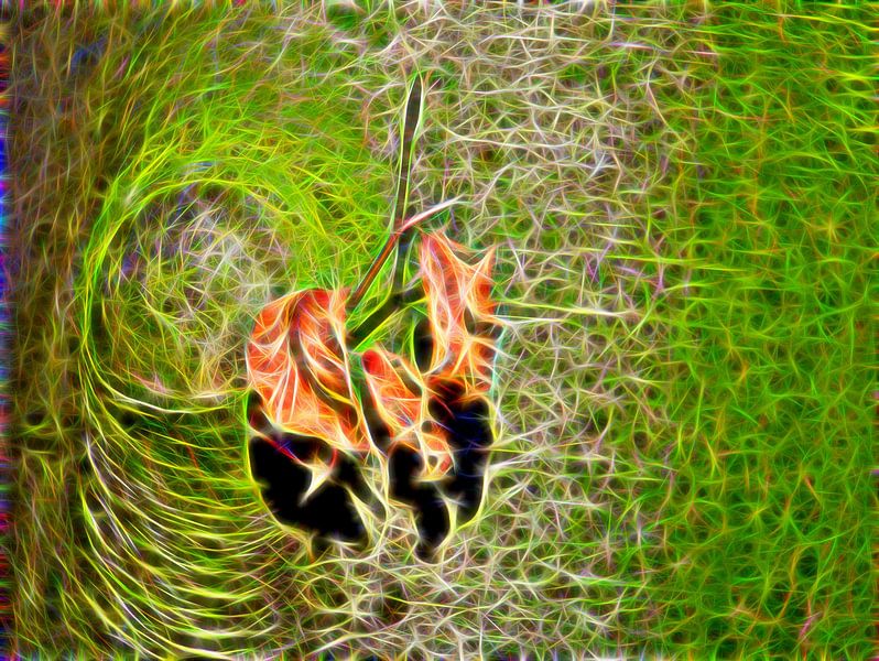 Neon Bladeren van Edgar Schermaul