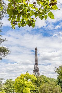 The Eiffel Tower above the trees by Lydia