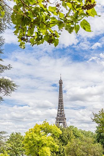 The Eiffel Tower above the trees