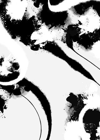 Abstrakt Schwarz & Weiß I von JINX Illustrations