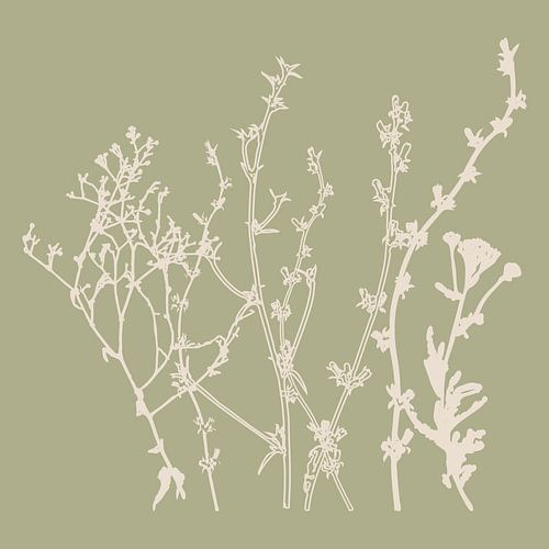 Zomerbloemen en grassen in wit en salie VI