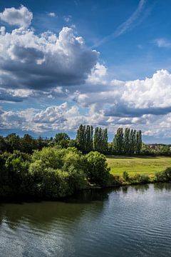 Sommer am Main von Thomas Riess