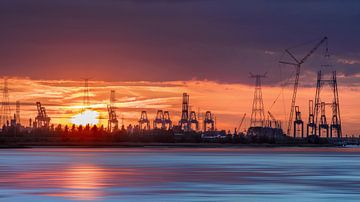 Container terminal at an orange colored sunset_1 by Tony Vingerhoets