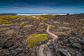 Landschap strand en zee bij Lanzarote Spanje