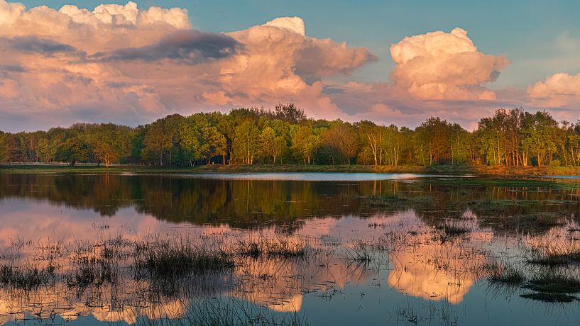 Coucher de soleil dans le parc national du Dwingelderveld par Henk Meijer Photography