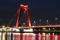 oude haven, rotterdam, willemsbrug