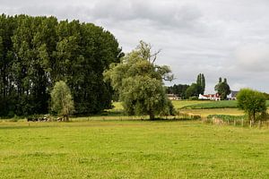 La vallée de la Dendre sur Werner Lerooy