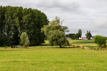 De Dendervallei van Werner Lerooy