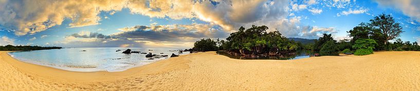 Tropisch strand 360 panorama by Dennis van de Water