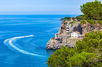Idyllisch uitzicht op Puerto de Soller op het eiland Mallorca, Spanje van Alex Winter