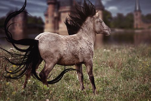 Fantasy paard