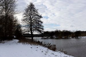 Ein sonniger Wintertag an der Ems