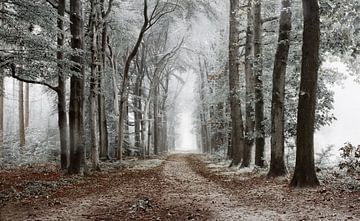 Winter in Lochem. von Jos Erkamp