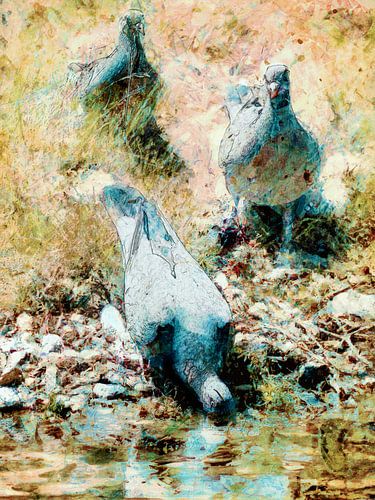 Symphonie der Einheit: drei Tauben, ein Moment