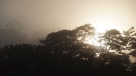 zonsopkomst  van Frenz' van de Grift