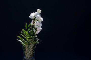 witte rozen van Thomas Heitz