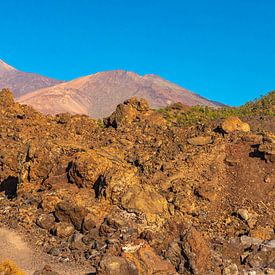 Uitzicht op Teide en Pico Viejo bij Mirador de los Poleos van Alexander Wolff