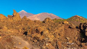 View of Teide and Pico Viejo at Mirador de los Poleos by Alexander Wolff