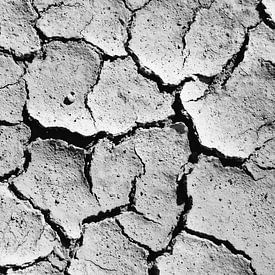 Trockener Sand und ein Schneckenhaus von RUUDC Fotografie