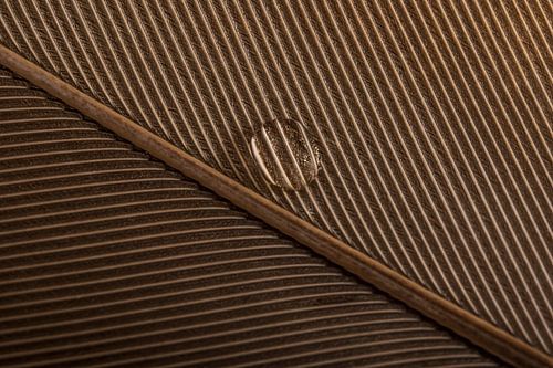 The interplay of lines in a feather with a drop of water by Marjolijn van den Berg