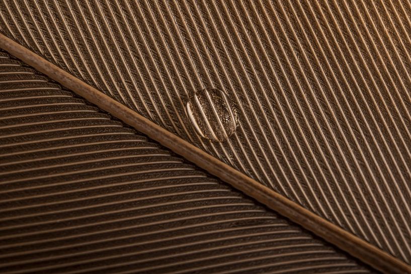 Le jeu des lignes d'une plume avec une goutte d'eau par Marjolijn van den Berg