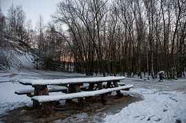 Picknick in de sneeuw sur Jan Diepeveen