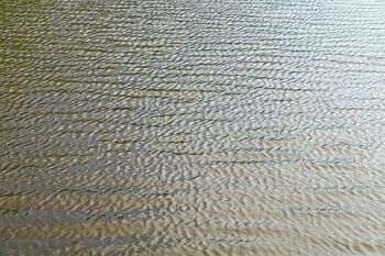 Golden glow on water