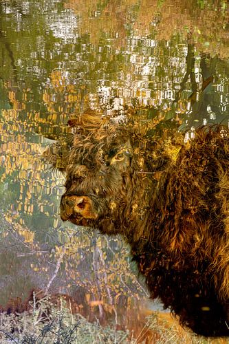 Réflexion dans les yeux du Highlander