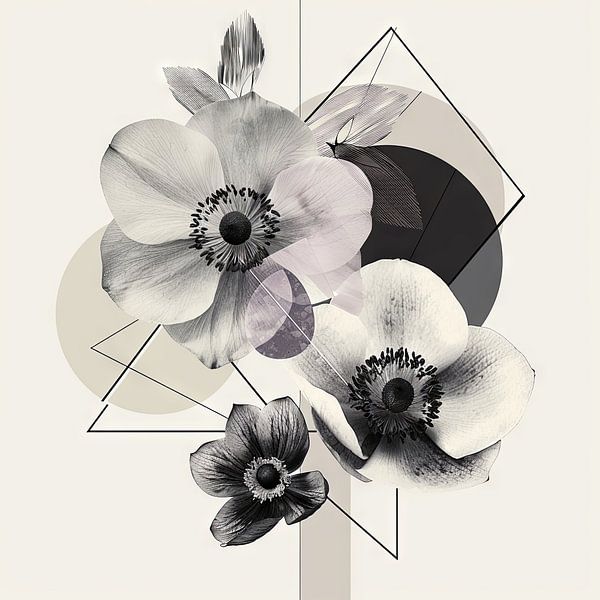 Kronen-Anemone von Poster Art Shop
