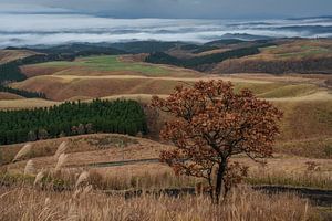 Blick von der Straße im Mount Aso Park in Kyushu, Japan.